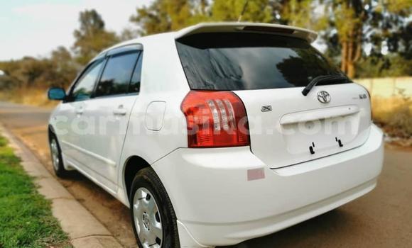 Buy Import Toyota Runx White Car in Harare in Harare Buy Import Toyota Runx White Car in Harare in Harare