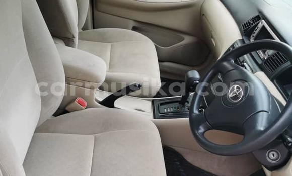 Buy Import Toyota Runx White Car in Harare in Harare Buy Import Toyota Runx White Car in Harare in Harare