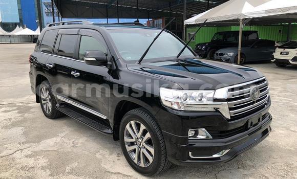 Buy Used Toyota Land Cruiser Black Car in Nyanga in Manicaland Buy Used Toyota Land Cruiser Black Car in Nyanga in Manicaland