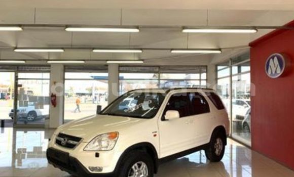 Buy Used Honda CR–V White Car in Beitbridge in Matabeleland South Buy Used Honda CR–V White Car in Beitbridge in Matabeleland South