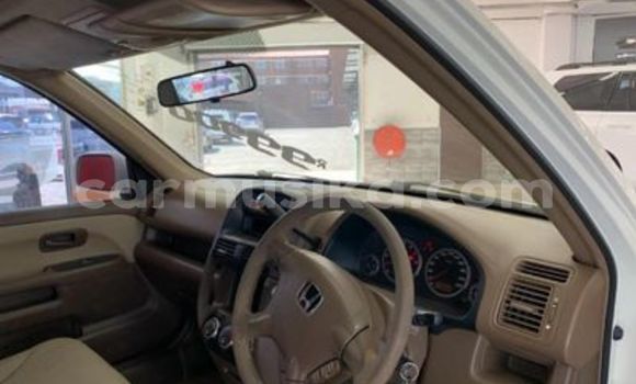 Buy Used Honda CR–V White Car in Beitbridge in Matabeleland South Buy Used Honda CR–V White Car in Beitbridge in Matabeleland South