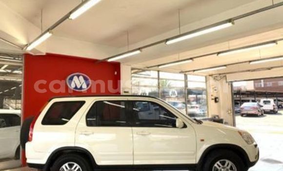 Buy Used Honda CR–V White Car in Beitbridge in Matabeleland South Buy Used Honda CR–V White Car in Beitbridge in Matabeleland South