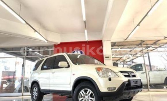 Buy Used Honda CR–V White Car in Beitbridge in Matabeleland South Buy Used Honda CR–V White Car in Beitbridge in Matabeleland South