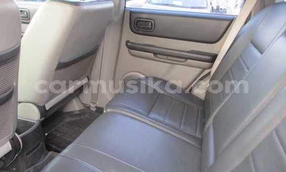 Nunua Ilio tumika Nissan X–Trail Nyekundu Gari ndani ya Beitbridge nchini Matabeleland Kusini Nunua Ilio tumika Nissan X–Trail Nyekundu Gari ndani ya Beitbridge nchini Matabeleland Kusini