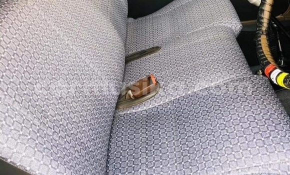 Tenga Tsaru Toyota Hilux Chena Mota in Beitbridge in Matabeleland South Tenga Tsaru Toyota Hilux Chena Mota in Beitbridge in Matabeleland South