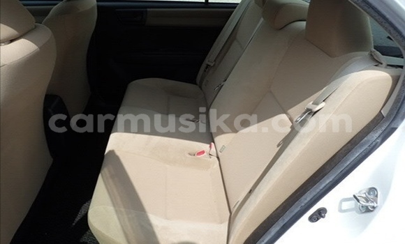 Acheter Occasion Voiture Toyota Axio Blanc à Beitbridge, Matabeleland South Acheter Occasion Voiture Toyota Axio Blanc à Beitbridge, Matabeleland South