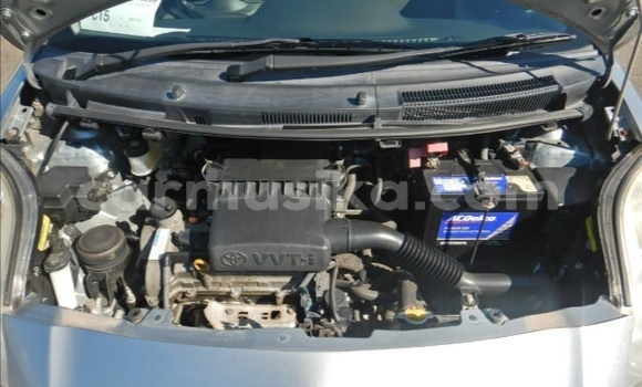 Tenga Tsaru Toyota Vitz Sirivha Mota in Beitbridge in Matabeleland South Tenga Tsaru Toyota Vitz Sirivha Mota in Beitbridge in Matabeleland South