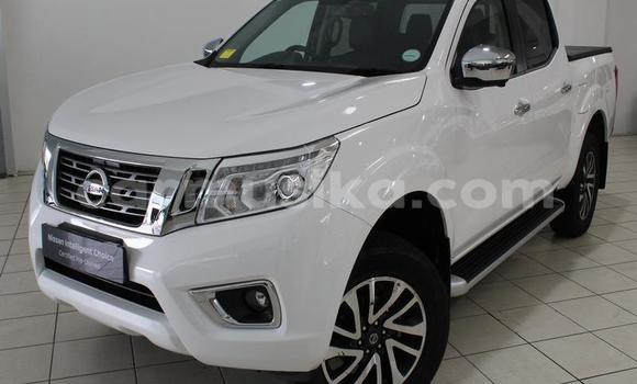 Tenga Tsaru Nissan Navara Chena Mota in Beitbridge in Matabeleland South