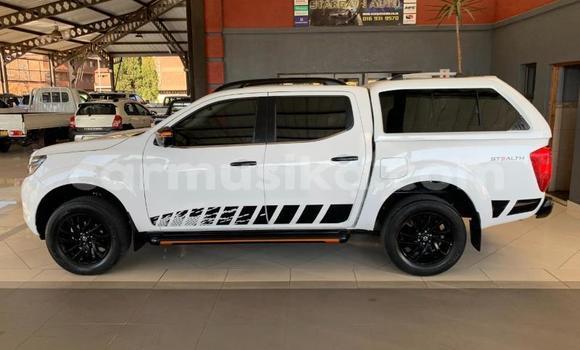 Buy Used Nissan Navara White Car in Beitbridge in Matabeleland South Buy Used Nissan Navara White Car in Beitbridge in Matabeleland South