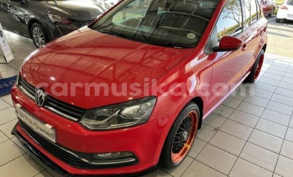 Buy Used Volkswagen Polo Red Car in Beitbridge in Matabeleland South
