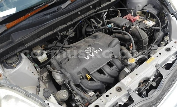 Nunua Ilio tumika Toyota FunCargo Fedha Gari ndani ya Beitbridge nchini Matabeleland Kusini Nunua Ilio tumika Toyota FunCargo Fedha Gari ndani ya Beitbridge nchini Matabeleland Kusini