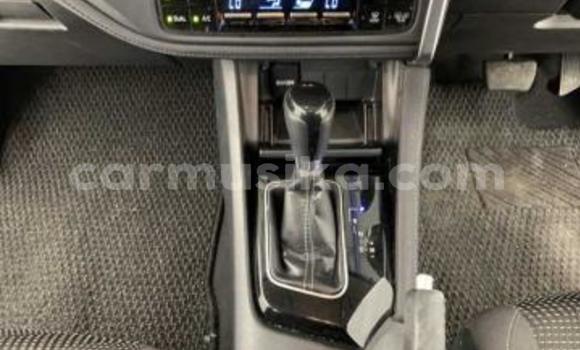 Acheter Occasion Voiture Toyota Auris Blanc à Beitbridge, Matabeleland South Acheter Occasion Voiture Toyota Auris Blanc à Beitbridge, Matabeleland South