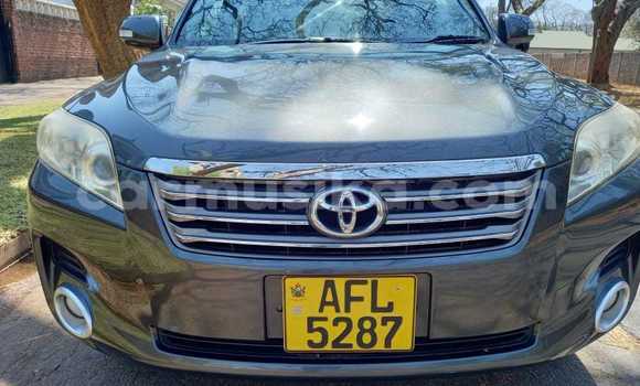 Buy New Toyota Vanguard Other Car in Avondale in Harare