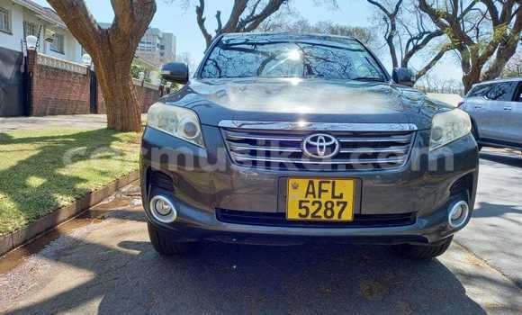 Buy New Toyota Vanguard Other Car in Avondale in Harare Buy New Toyota Vanguard Other Car in Avondale in Harare