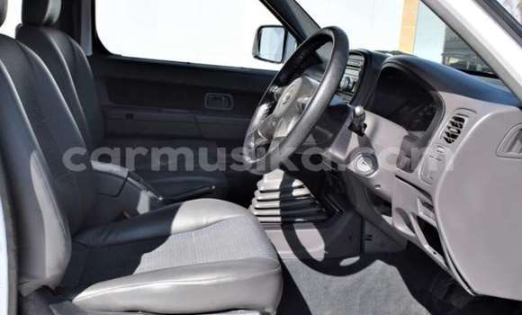 Buy Used Nissan Hardbody White Car in Beitbridge in Matabeleland South Buy Used Nissan Hardbody White Car in Beitbridge in Matabeleland South