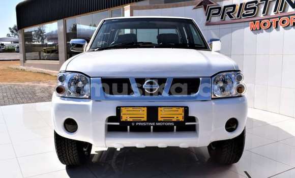 Buy Used Nissan Hardbody White Car in Beitbridge in Matabeleland South Buy Used Nissan Hardbody White Car in Beitbridge in Matabeleland South
