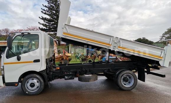 Nunua Ilio tumika Toyota Dyna Nyeupe Gari ndani ya Beitbridge nchini Matabeleland Kusini