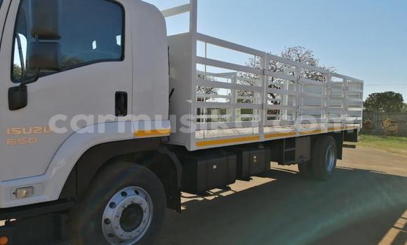Buy Used Isuzu FTR 850 White Truck in Chitungwiza in Harare Buy Used Isuzu FTR 850 White Truck in Chitungwiza in Harare