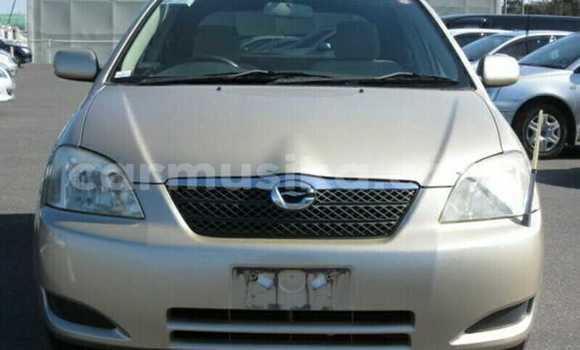 Buy Used Toyota Runx Beige Car in Beitbridge in Matabeleland South