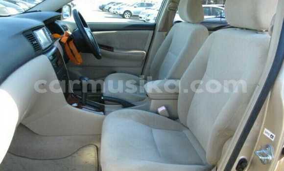 Tenga Tsaru Toyota Runx Beige Mota in Beitbridge in Matabeleland South Tenga Tsaru Toyota Runx Beige Mota in Beitbridge in Matabeleland South