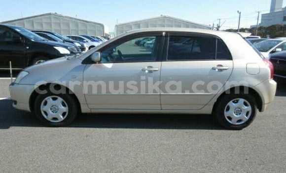 Tenga Tsaru Toyota Runx Beige Mota in Beitbridge in Matabeleland South Tenga Tsaru Toyota Runx Beige Mota in Beitbridge in Matabeleland South