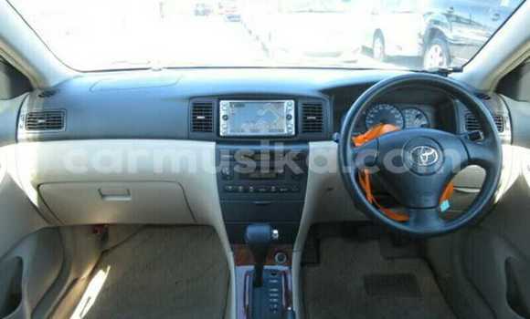 Tenga Tsaru Toyota Runx Beige Mota in Beitbridge in Matabeleland South Tenga Tsaru Toyota Runx Beige Mota in Beitbridge in Matabeleland South