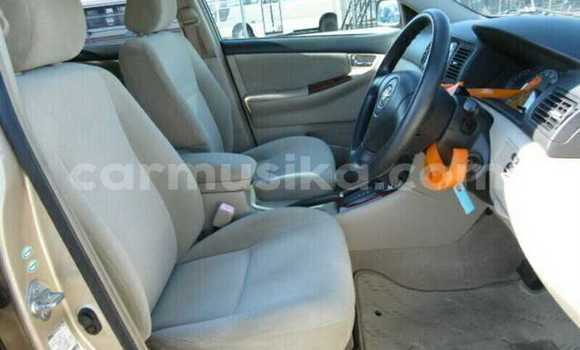 Tenga Tsaru Toyota Runx Beige Mota in Beitbridge in Matabeleland South Tenga Tsaru Toyota Runx Beige Mota in Beitbridge in Matabeleland South