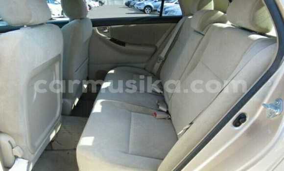 Tenga Tsaru Toyota Runx Beige Mota in Beitbridge in Matabeleland South Tenga Tsaru Toyota Runx Beige Mota in Beitbridge in Matabeleland South