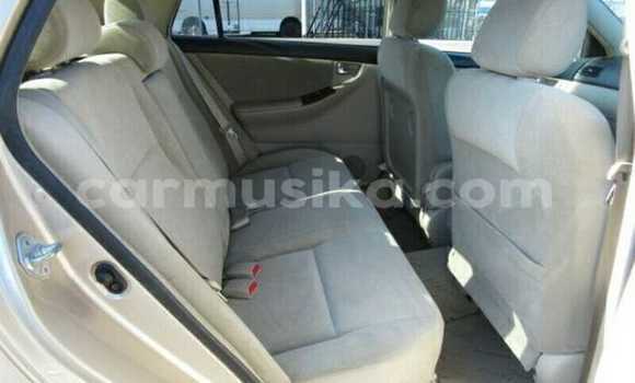 Tenga Tsaru Toyota Runx Beige Mota in Beitbridge in Matabeleland South Tenga Tsaru Toyota Runx Beige Mota in Beitbridge in Matabeleland South