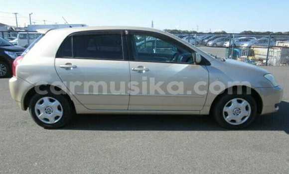 Tenga Tsaru Toyota Runx Beige Mota in Beitbridge in Matabeleland South Tenga Tsaru Toyota Runx Beige Mota in Beitbridge in Matabeleland South