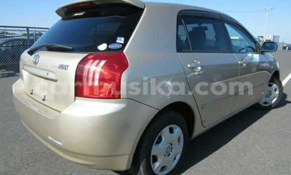 Tenga Tsaru Toyota Runx Beige Mota in Beitbridge in Matabeleland South Tenga Tsaru Toyota Runx Beige Mota in Beitbridge in Matabeleland South