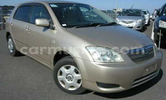 Tenga Tsaru Toyota Runx Beige Mota in Beitbridge in Matabeleland South Tenga Tsaru Toyota Runx Beige Mota in Beitbridge in Matabeleland South