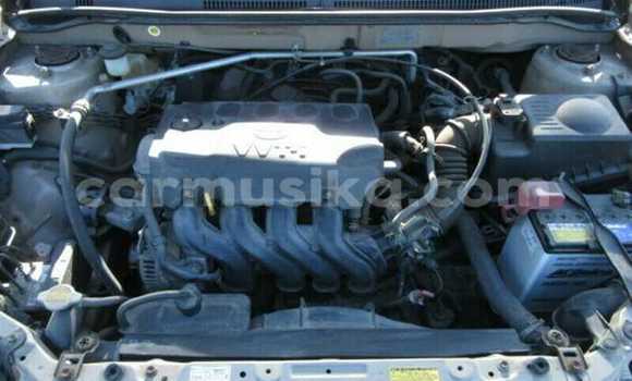 Tenga Tsaru Toyota Runx Beige Mota in Beitbridge in Matabeleland South Tenga Tsaru Toyota Runx Beige Mota in Beitbridge in Matabeleland South