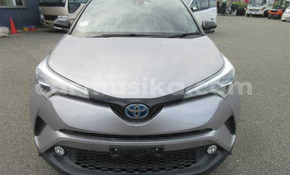 Nunua Ilio tumika Toyota C-HR Fedha Gari ndani ya Beitbridge nchini Matabeleland Kusini