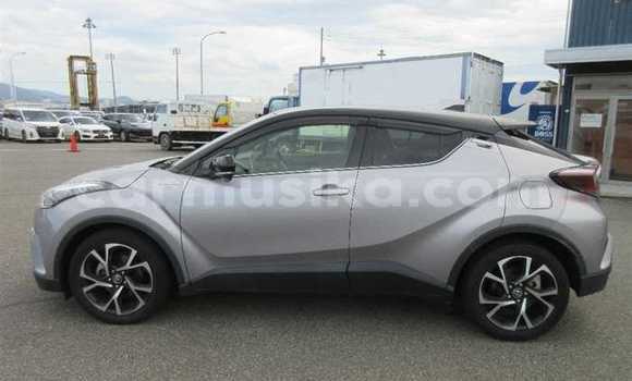 Buy Used Toyota C-HR Silver Car in Beitbridge in Matabeleland South Buy Used Toyota C-HR Silver Car in Beitbridge in Matabeleland South