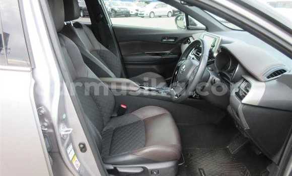 Buy Used Toyota C-HR Silver Car in Beitbridge in Matabeleland South Buy Used Toyota C-HR Silver Car in Beitbridge in Matabeleland South