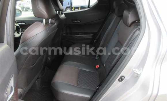 Buy Used Toyota C-HR Silver Car in Beitbridge in Matabeleland South Buy Used Toyota C-HR Silver Car in Beitbridge in Matabeleland South