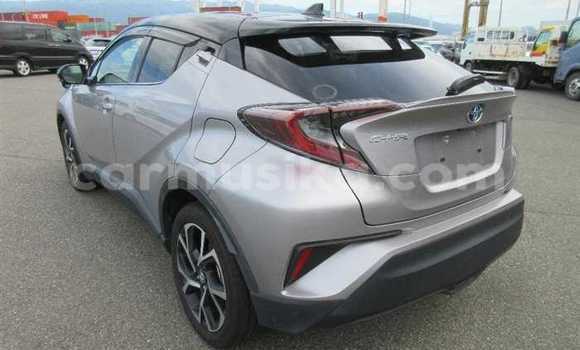 Buy Used Toyota C-HR Silver Car in Beitbridge in Matabeleland South Buy Used Toyota C-HR Silver Car in Beitbridge in Matabeleland South