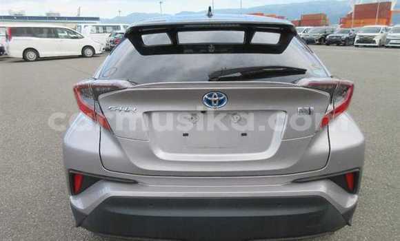 Buy Used Toyota C-HR Silver Car in Beitbridge in Matabeleland South Buy Used Toyota C-HR Silver Car in Beitbridge in Matabeleland South