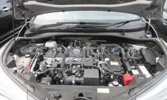 Buy Used Toyota C-HR Silver Car in Beitbridge in Matabeleland South Buy Used Toyota C-HR Silver Car in Beitbridge in Matabeleland South