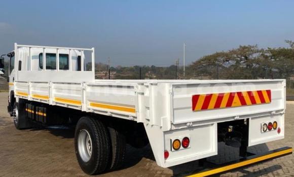 Acheter Occasion Utilitaire Isuzu FTR 850 Blanc à Beitbridge, Matabeleland South Acheter Occasion Utilitaire Isuzu FTR 850 Blanc à Beitbridge, Matabeleland South
