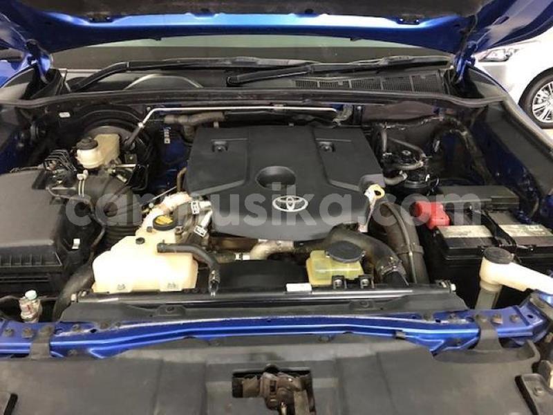 Big with watermark crop800x600 88 