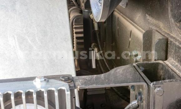 Buy Used Isuzu Elf White Truck in Beitbridge in Matabeleland South Buy Used Isuzu Elf White Truck in Beitbridge in Matabeleland South