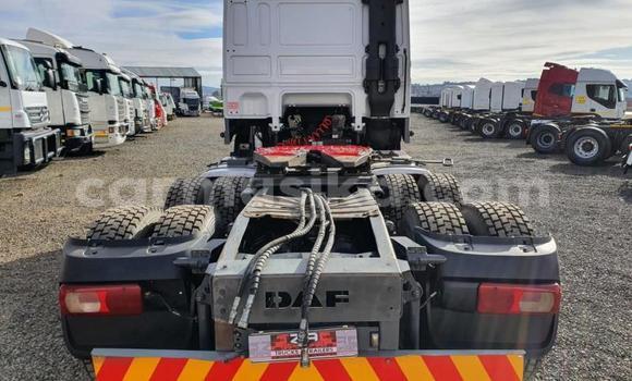 Acheter Occasion Utilitaire DAF CF Blanc à Beitbridge, Matabeleland South Acheter Occasion Utilitaire DAF CF Blanc à Beitbridge, Matabeleland South