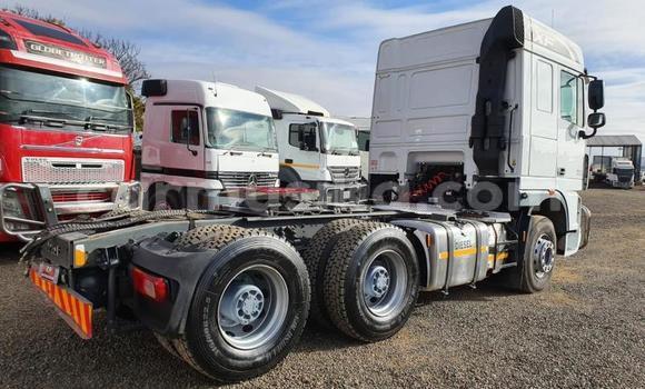 Acheter Occasion Utilitaire DAF CF Blanc à Beitbridge, Matabeleland South Acheter Occasion Utilitaire DAF CF Blanc à Beitbridge, Matabeleland South