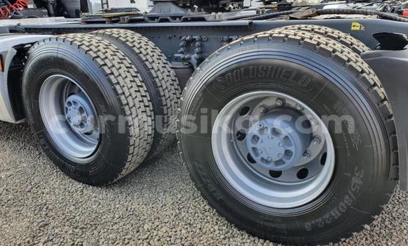 Acheter Occasion Utilitaire DAF CF Blanc à Beitbridge, Matabeleland South Acheter Occasion Utilitaire DAF CF Blanc à Beitbridge, Matabeleland South