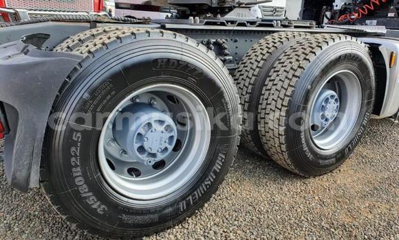 Acheter Occasion Utilitaire DAF CF Blanc à Beitbridge, Matabeleland South Acheter Occasion Utilitaire DAF CF Blanc à Beitbridge, Matabeleland South