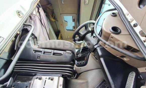 Acheter Occasion Utilitaire DAF CF Blanc à Beitbridge, Matabeleland South Acheter Occasion Utilitaire DAF CF Blanc à Beitbridge, Matabeleland South