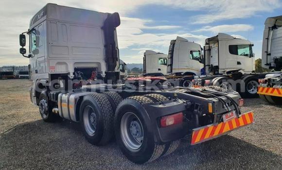 Acheter Occasion Utilitaire DAF CF Blanc à Beitbridge, Matabeleland South Acheter Occasion Utilitaire DAF CF Blanc à Beitbridge, Matabeleland South