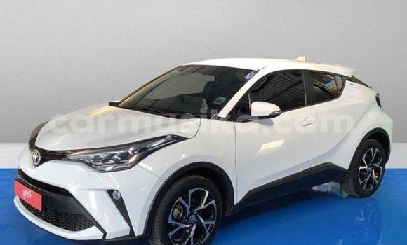 Tenga Tsaru Toyota C-HR Chena Mota in Harare in Harare